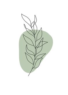 a drawing of a leaf on a white background