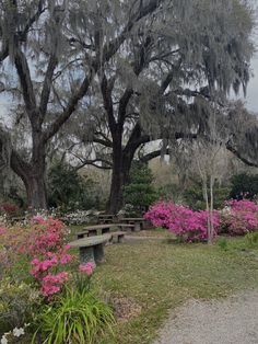 the park is full of flowers and trees