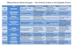 Review of the stages of Gait at the Hip, Knee, and Ankle: Physical Therapy Assistant Student, Gait Analysis, Shoulder Surgery Recovery, Genu Varum, Pt School, Gait Training, Gait Cycle, Physical Therapy School, Physical Therapy Student