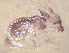 a drawing of a deer laying down on the ground