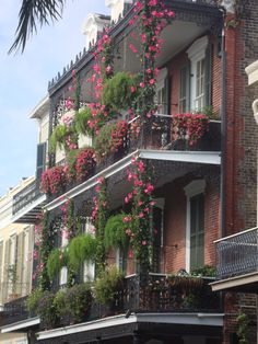 an apartment building with flowers on the balconies