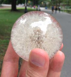 a person holding a dandelion in their hand