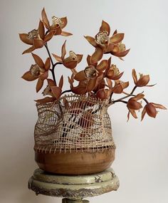 an arrangement of flowers in a birdcage on top of a table with a white wall behind it