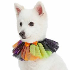 a small white dog wearing a multicolored bow tie with sequins on it's collar