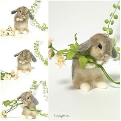 a stuffed rabbit with flowers in it's mouth and four pictures of the same bunny