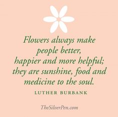 flowers always make people better happy and more helpful they are sunshine, food and medicine to the soul