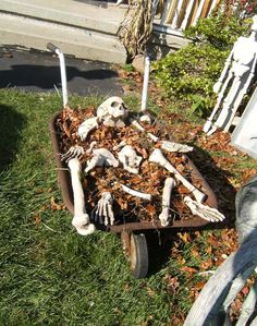 a wheelbarrow filled with skeleton bones and leaves