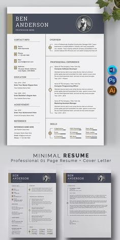 the professional resume template is ready to be used for any job