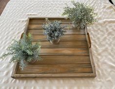 two potted plants sitting on top of a wooden tray