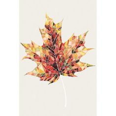 a painting of a colorful leaf on a white background