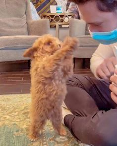 a man with a mouth mask is playing with a small dog while holding a toothbrush