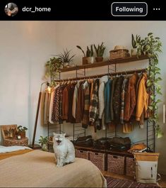 a white dog sitting on top of a bed next to a rack filled with clothes