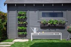 a small gray house with plants growing on the side