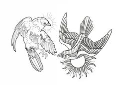 two birds flying next to each other with sun and wings on their back, one is black and white