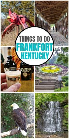 things to do in frankfort, kentucky with pictures of waterfalls and trees around it