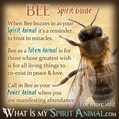 a bee with the words bee spirit guide on it's back and an image of a