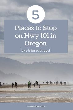 people walking on the beach with text overlay that reads 5 places to stop on hwy 101 in oregon