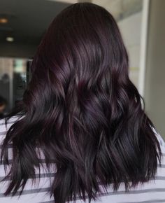 Dark Hair Violet Highlights, Eggplant Hair Color With Highlights Dark Purple, Dark Brown Hair With Hints Of Purple, Eggplant Black Hair, Purple Toned Black Hair, Dark Hair Violet Undertone, Dark Plum Black Hair, Black Hair With Violet Undertone, Midnight Violet Black Hair Color