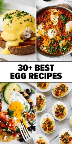 Egg recipes for breakfast, lunch, and dinner Fried Egg Recipes, Egg Recipes For Dinner, Easy Oatmeal Recipes, Best Egg Recipes, Eggs Dinner, Healthy Egg Recipes, Ways To Cook Eggs, Easy Egg Recipes, Flavorful Meals