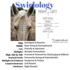 a poster with the words swirllology right - left and an image of a horse's head