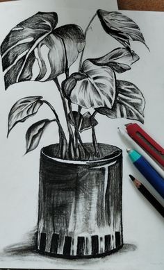 a drawing of a potted plant with leaves in it and two colored pencils next to it