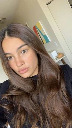 Naturally Light Brown Hair, Chestnut Brown Hair Dark Roots, Womens Light Brown Hair Color, Brown Hair With Light Skin, All Over Medium Brown Hair Color, Kelsey Merritt Hair, Brown Hair Natural Balayage, Brunette Hair Hazel Eyes, Brown Hair With Freckles