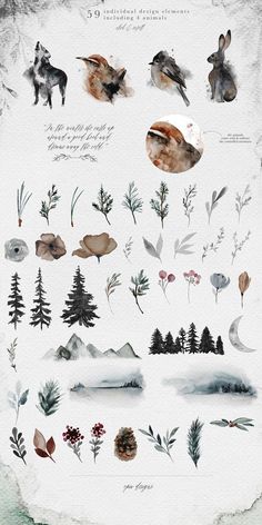 watercolor illustrations of different plants and animals