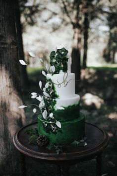 Gâteau de mariée wedding cake pâte à sucre Black Green Wedding Cake, Emerald Wedding Cakes, Wedding Cake Forest Green, Dark Green And Gold Wedding Cake, Forest Themed Wedding Cake, Dark Green Wedding Ideas, Green Cake Wedding, Dark Academia Wedding Cake, Green Ombre Wedding Cake