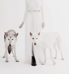 a woman standing next to two white dogs on a white background in front of her