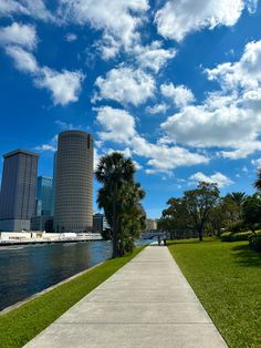 a walkway leading to the water with palm trees and buildings in the background