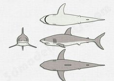 three sharks and one shark are shown in black and white, while the other is gray