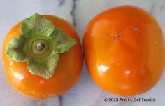 two oranges sitting on top of a marble counter with a green flower in the middle