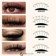 lash map Lash Placement Chart, Spikey Lash Map, Babydoll Eyelash Extensions, Lash Notes, Eyelash Maps, Babydoll Lashes, Lash Patterns, Lash Maps, Lash Map