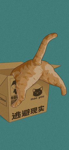 an orange cat laying on top of a cardboard box