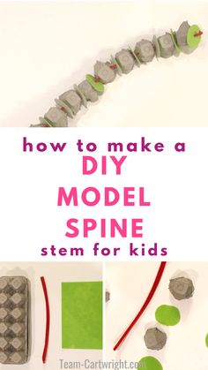 how to make a diy model spine for kids with text overlay that reads, how to make a model spine for kids