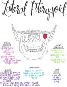 an image of a diagram of the external prepspoid with words and pictures on it