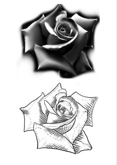 a black and white drawing of a rose