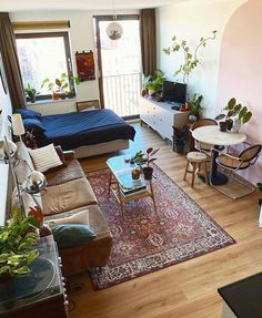 a living room filled with furniture and lots of plants on top of a wooden floor