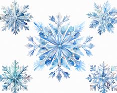 watercolor snowflakes on white background