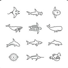 different types of sea animals are shown in this black and white drawing technique, which is easy to draw