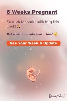 a baby is in the middle of an image with text that reads 6 weeks pregnant so much happening with baby this week