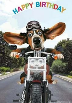 a dog riding on the back of a motorcycle in front of a happy birthday sign