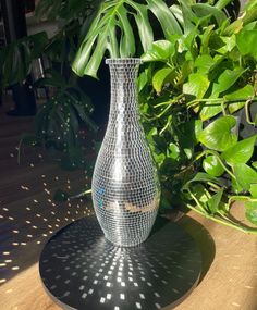 a silver vase sitting on top of a wooden table next to a green leafy plant