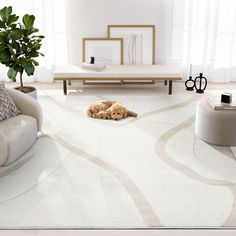 a dog laying on the floor in a living room with white furniture and large windows