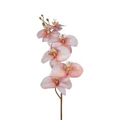 Put this lifelike orchid in your favourite vase for an elegant touch to your interior, or get creative and create a delightful, mixed floral arrangement. Perfect for display on your shelves, side table, coffee table, a cosy corner in your home and more. Dimensions: L:16 x W:10 x H: 80cm Made from plastic & wire. Keep out of direct sunlight. Made in China. Cosy Corner, Sunset Colors, Pink Plastic, Candle Diffuser, Table Coffee, Floral Arrangement, Bottle Cap, Egift Card, Floral Arrangements