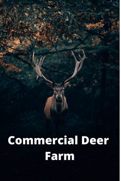 a deer with the words commercial deer farm on it's back and an image of trees in the background