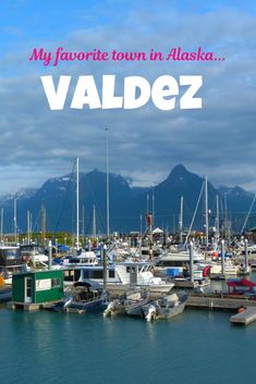 a marina with boats and mountains in the background that says my favorite town in alaska valdez