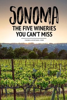 a vineyard with the words sonoma, the five wineries you can't miss