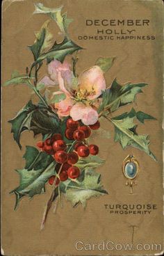 an old fashioned christmas card with flowers and berries on the front, says december domestic happiness