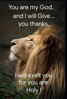 a lion with the words you are my god, and i will give you thanks